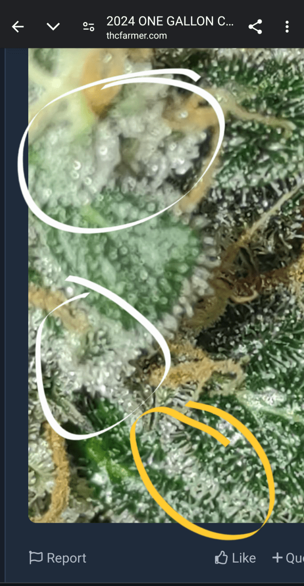 Screenshot 20240817 153851