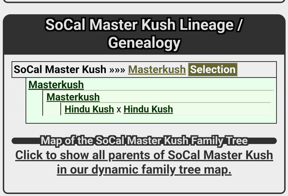 Screenshot 20240820 194126