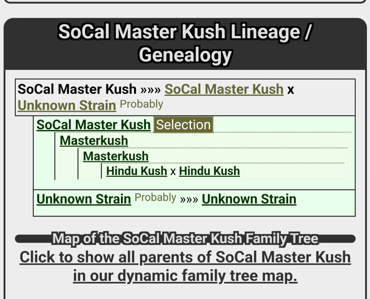 Screenshot 20240820 194235