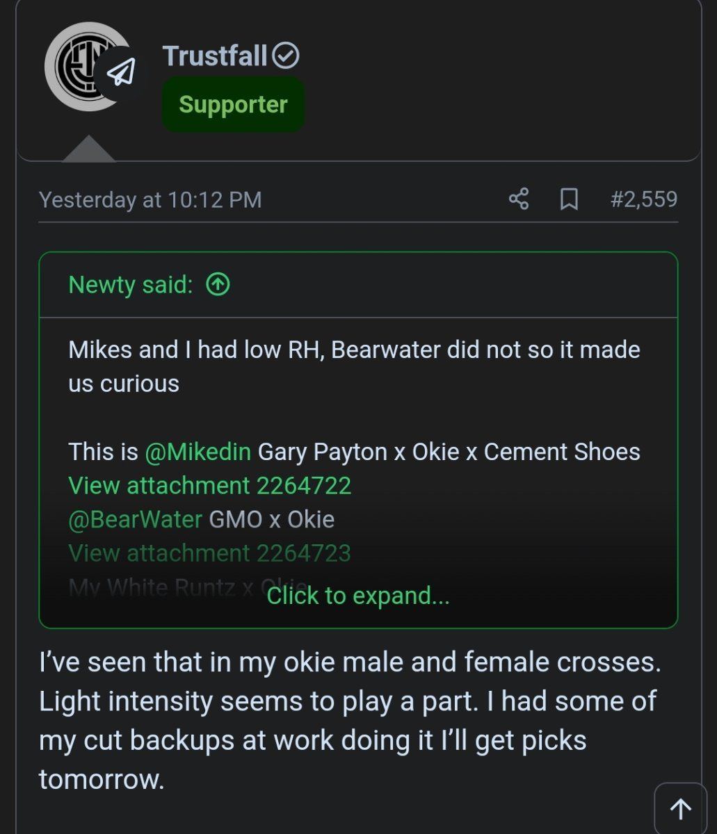 Screenshot 20240904 183401 Samsung Internet