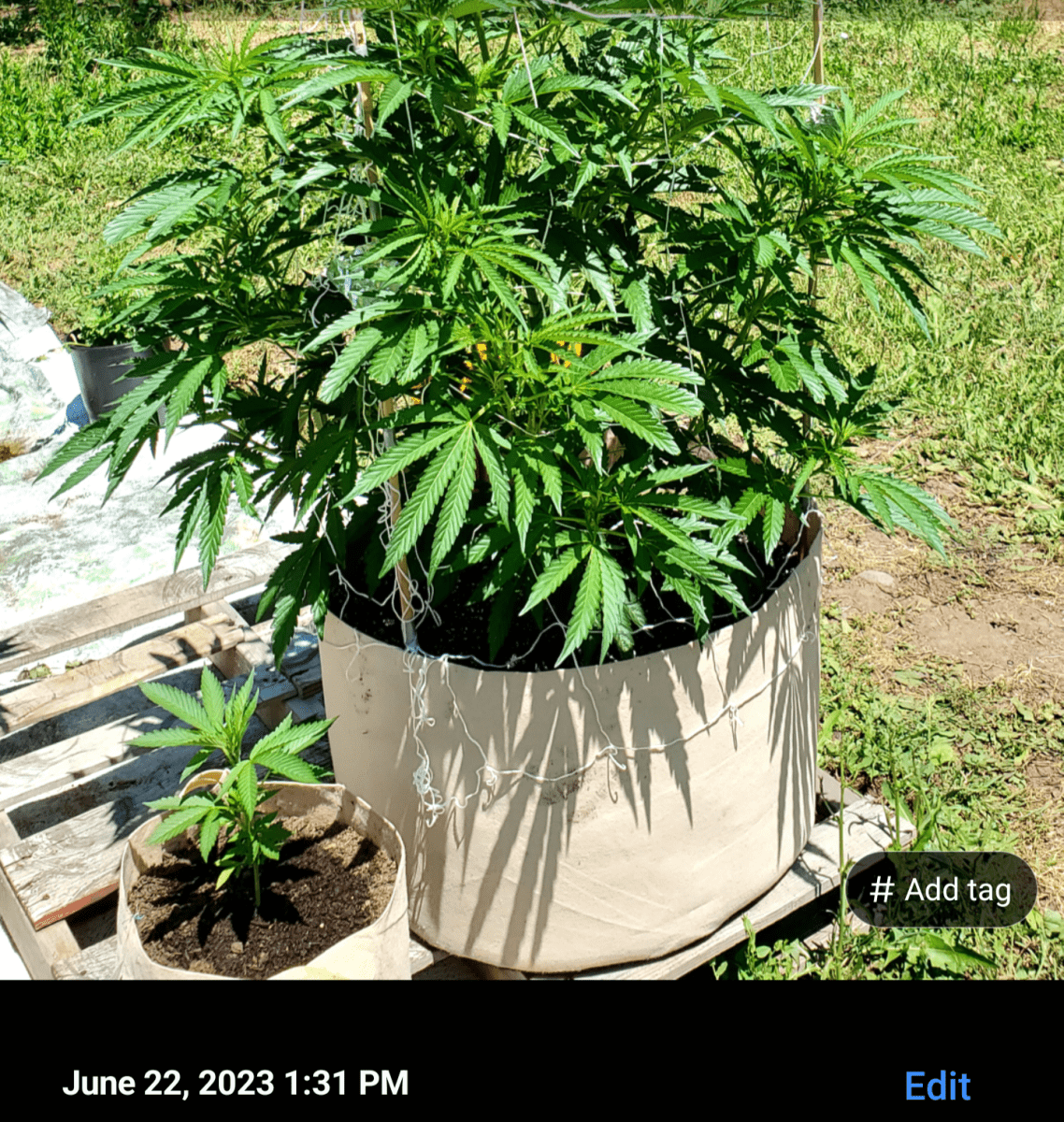 Screenshot 20240908 033327
