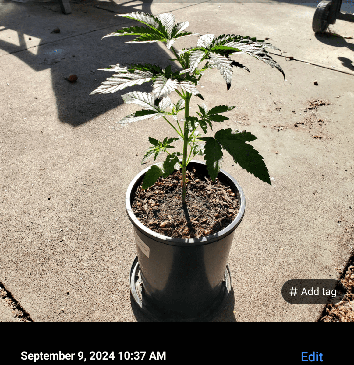 Screenshot 20240909 105341