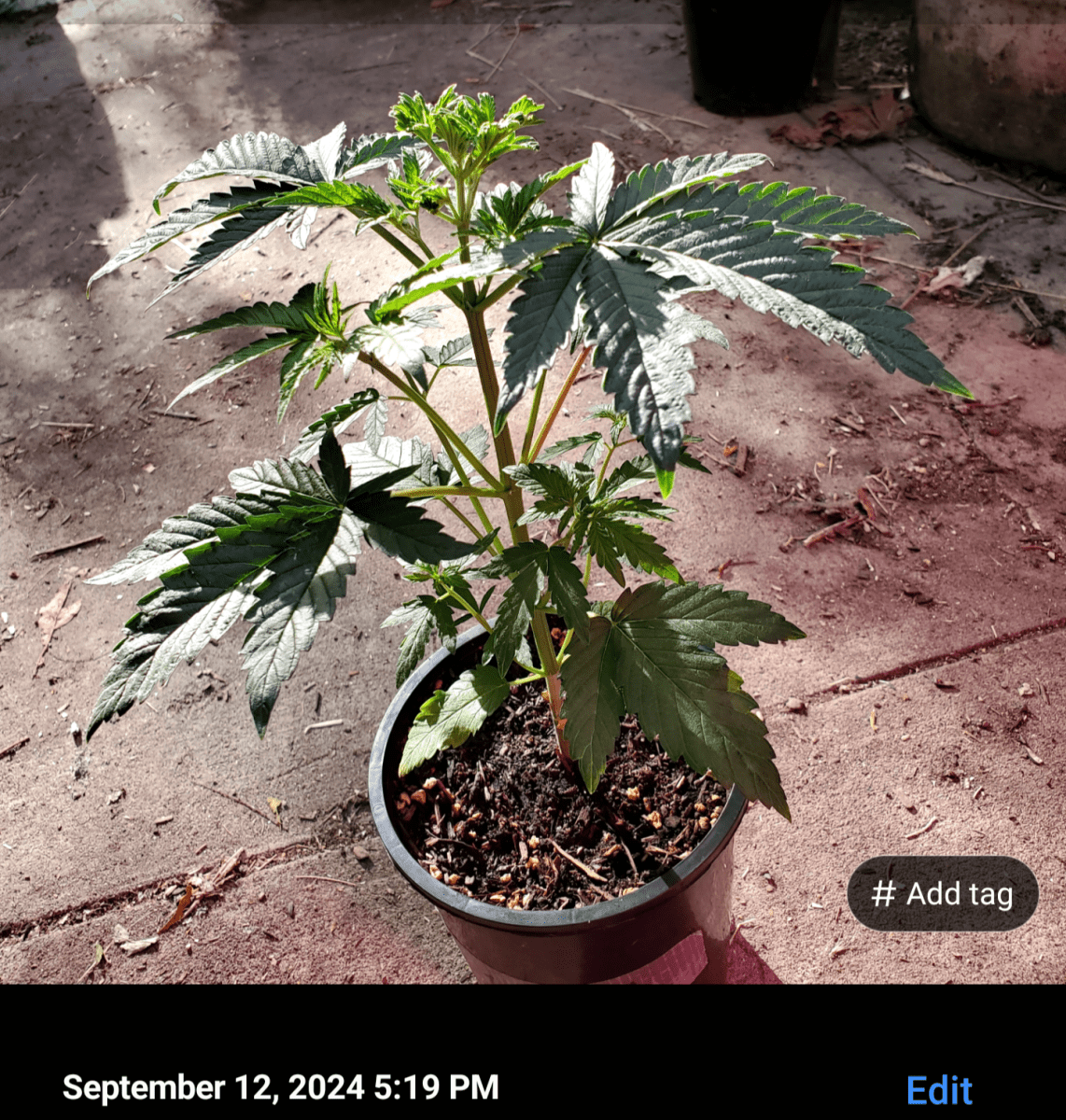 Screenshot 20240912 173408