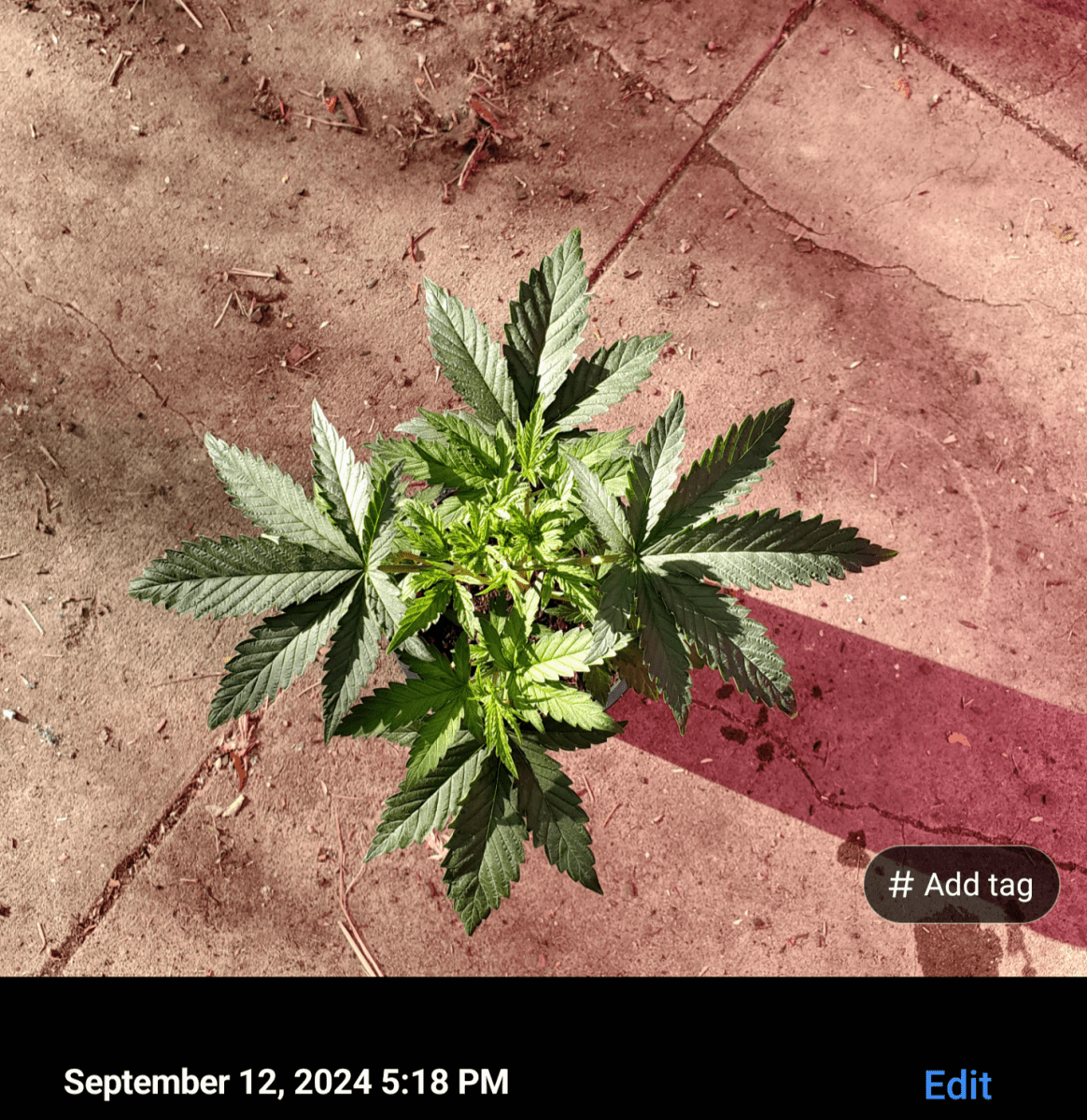 Screenshot 20240912 173540