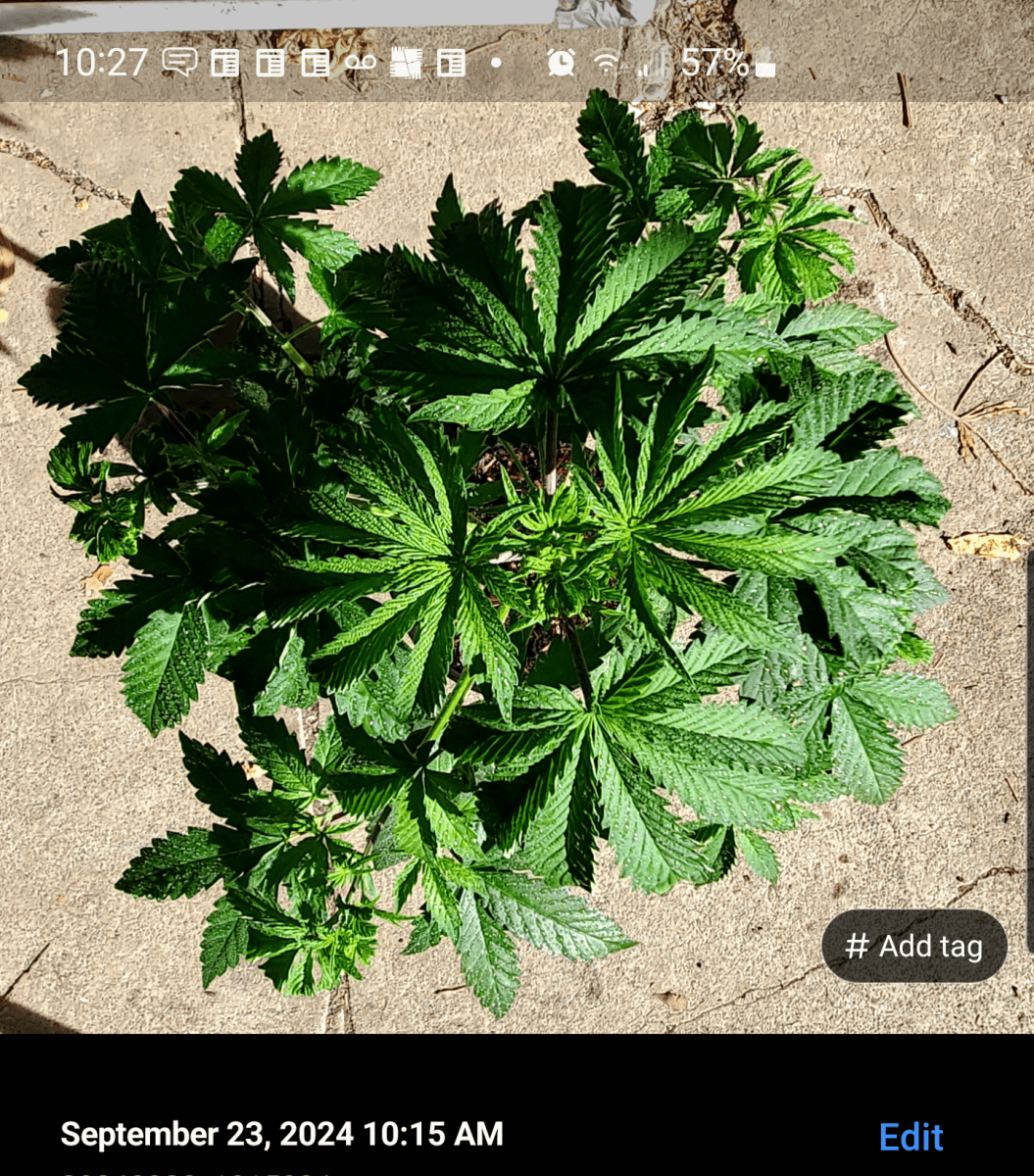 Screenshot 20240923 102803