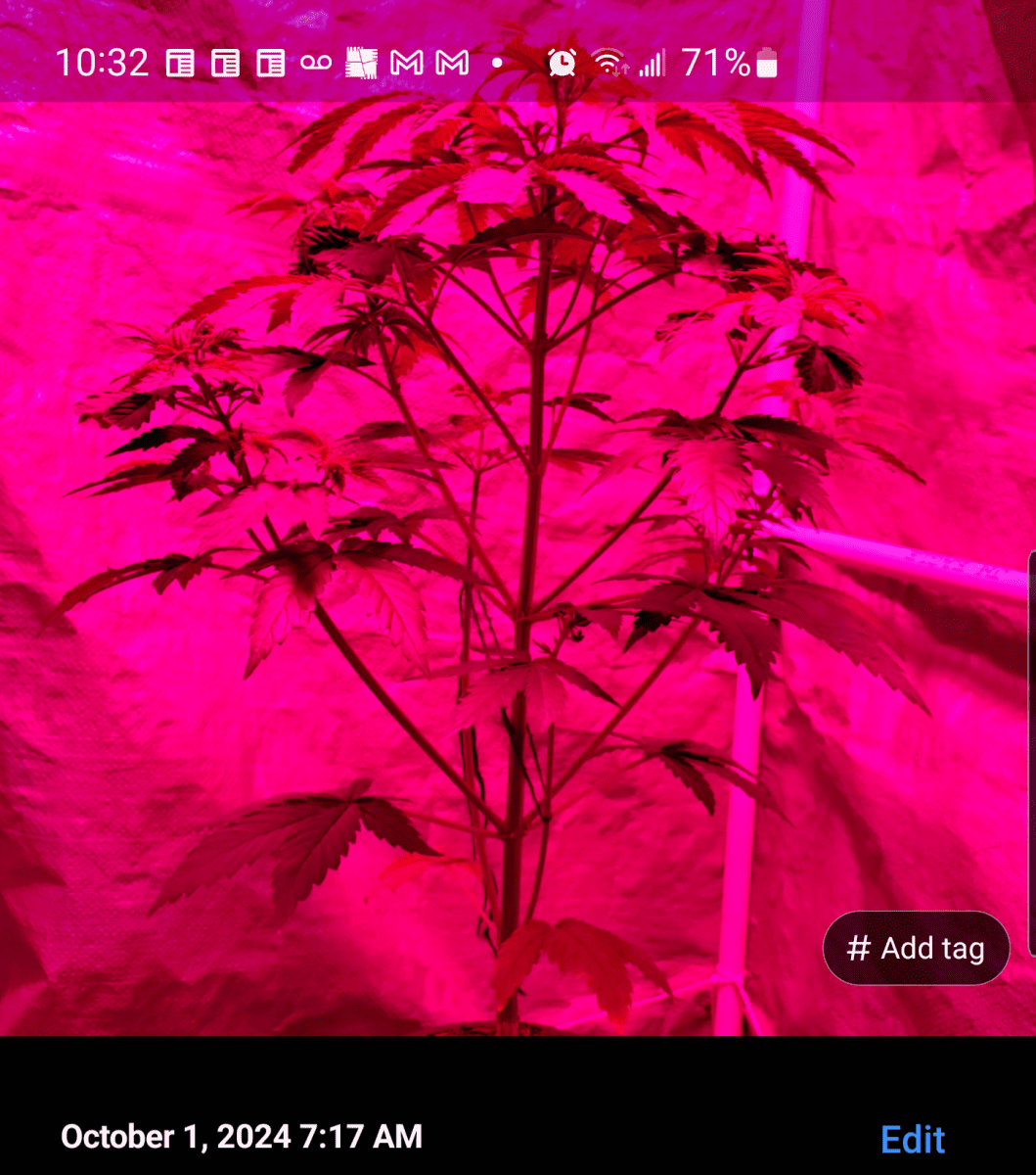 Screenshot 20241001 103239