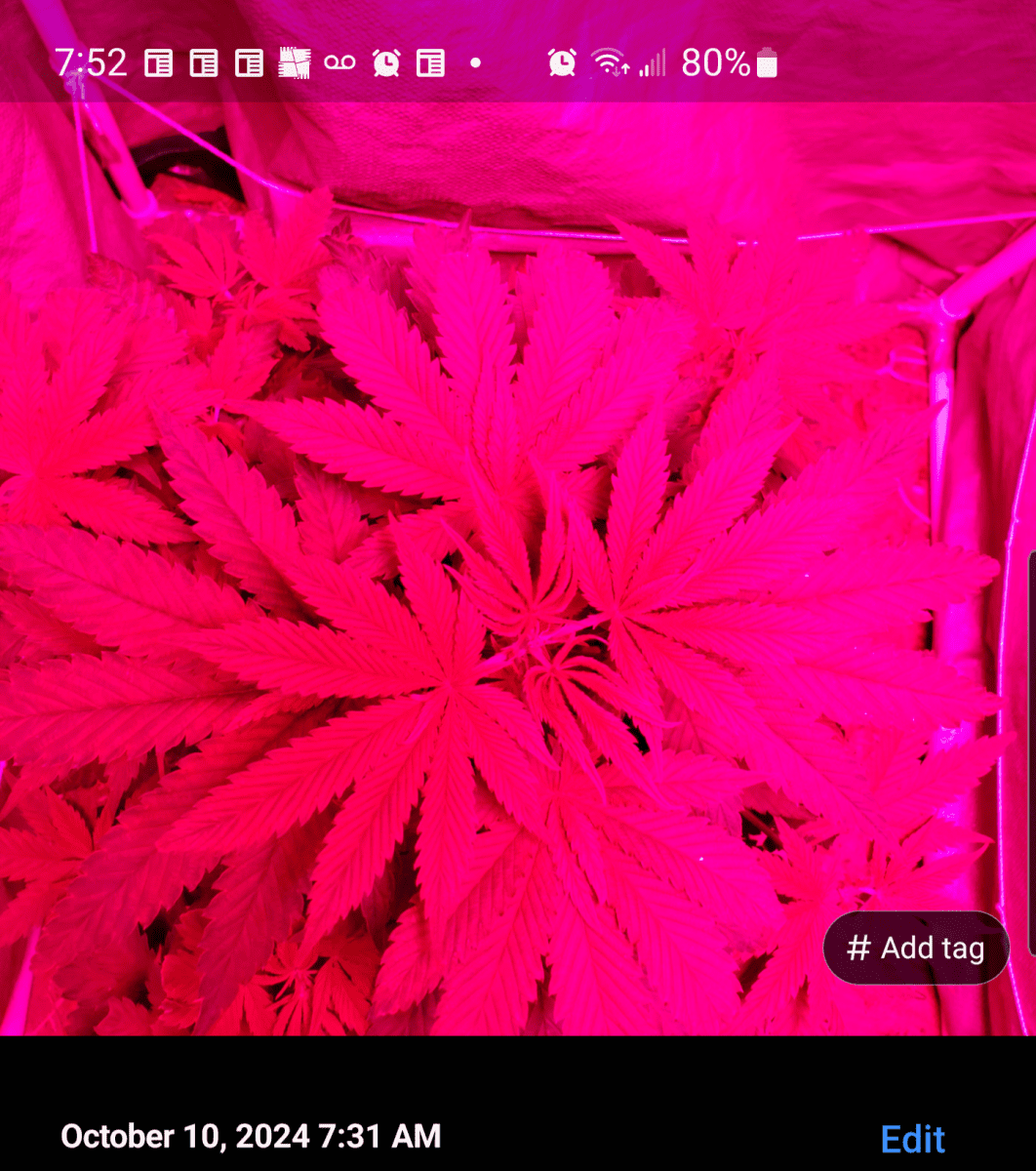 Screenshot 20241010 075227