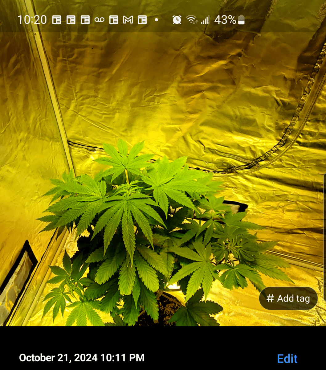 Screenshot 20241021 222039
