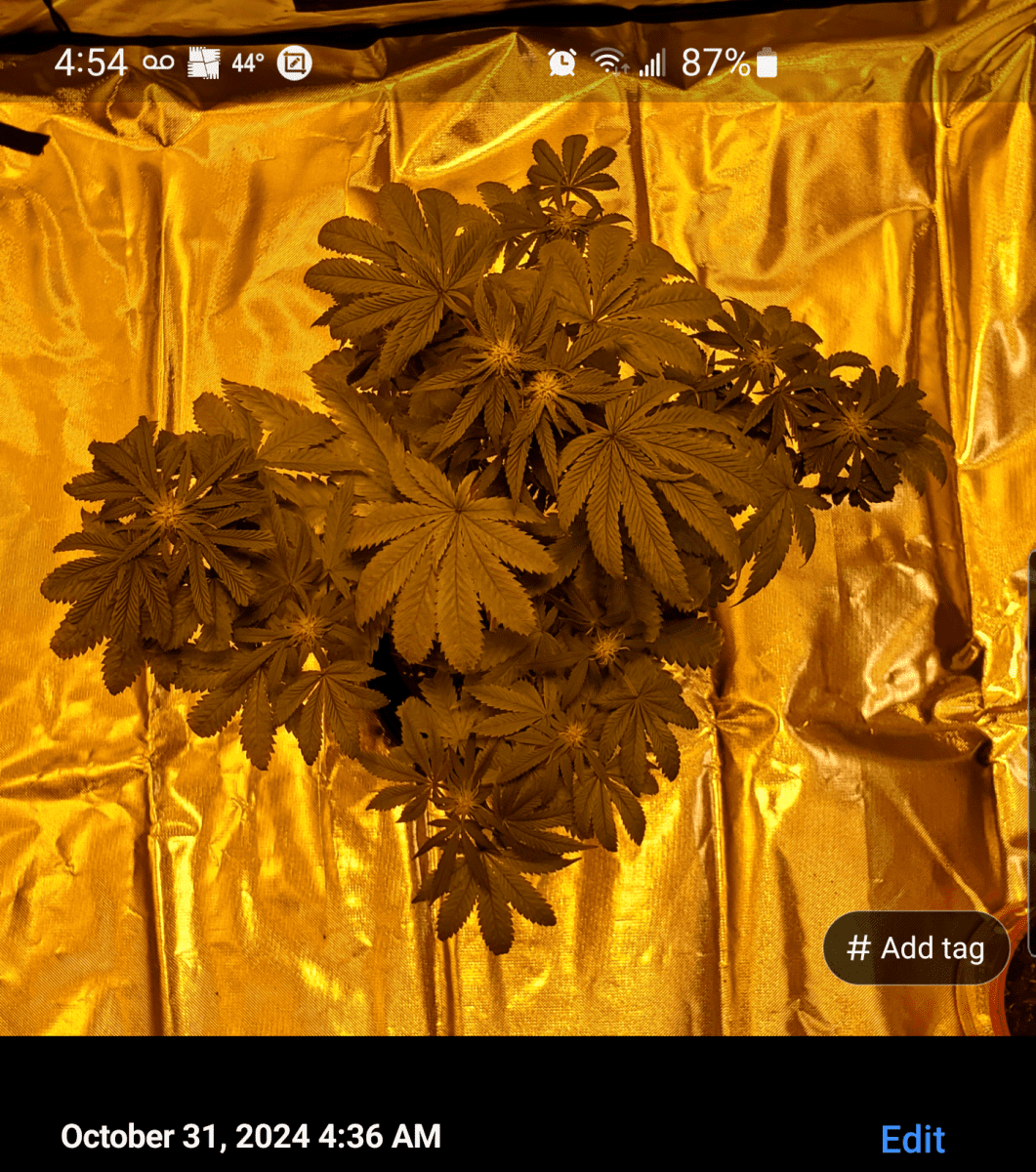 Screenshot 20241031 045419