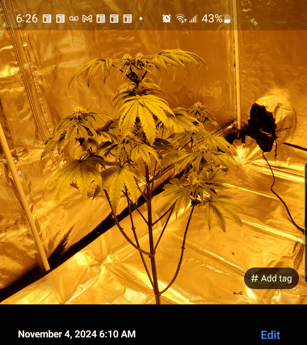 Screenshot 20241104 062629