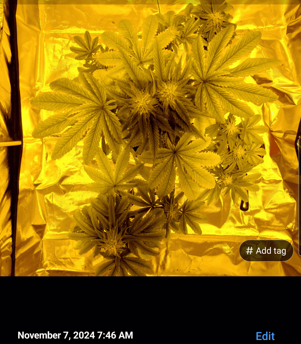 Screenshot 20241107 091102