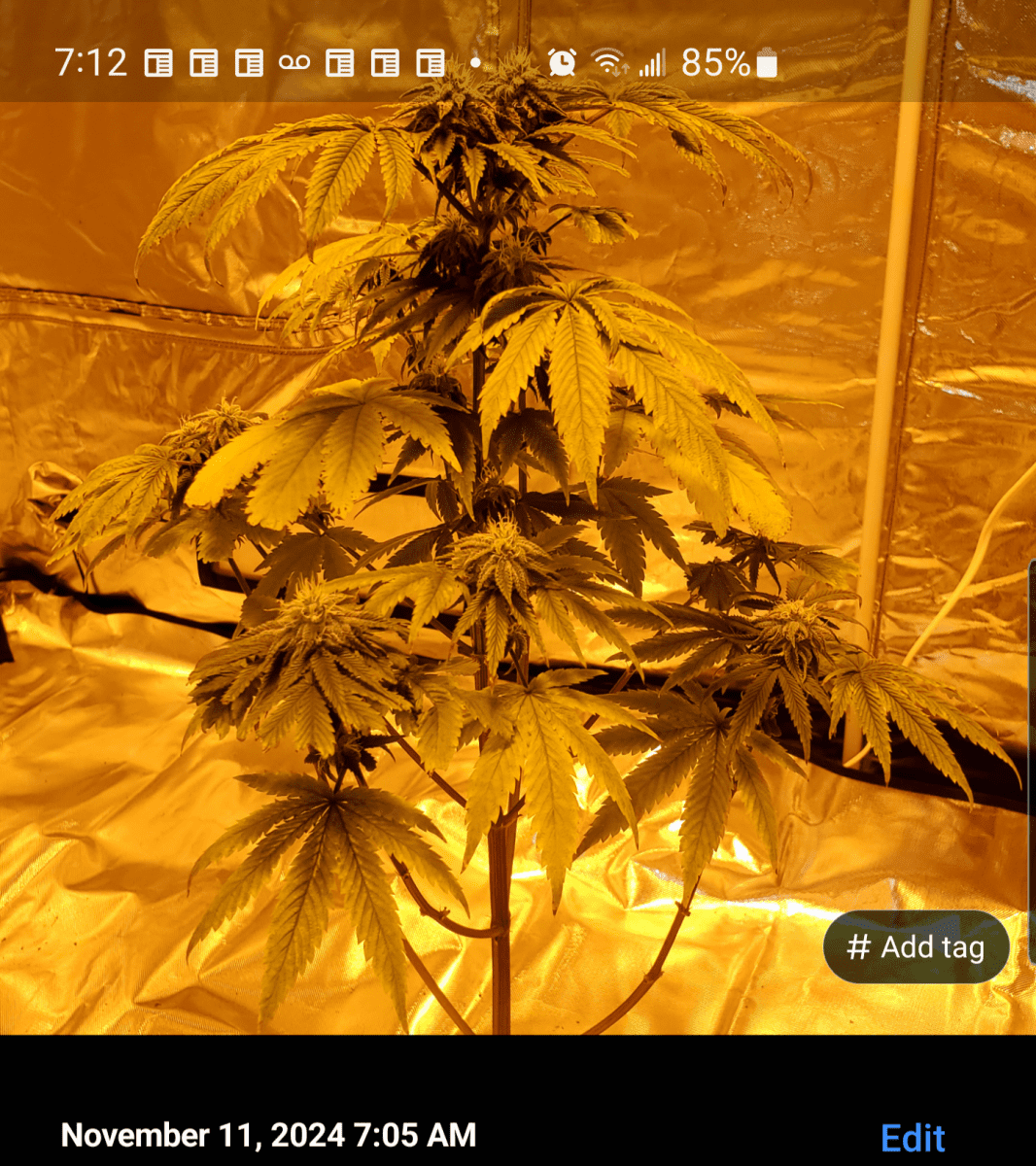 Screenshot 20241111 071219