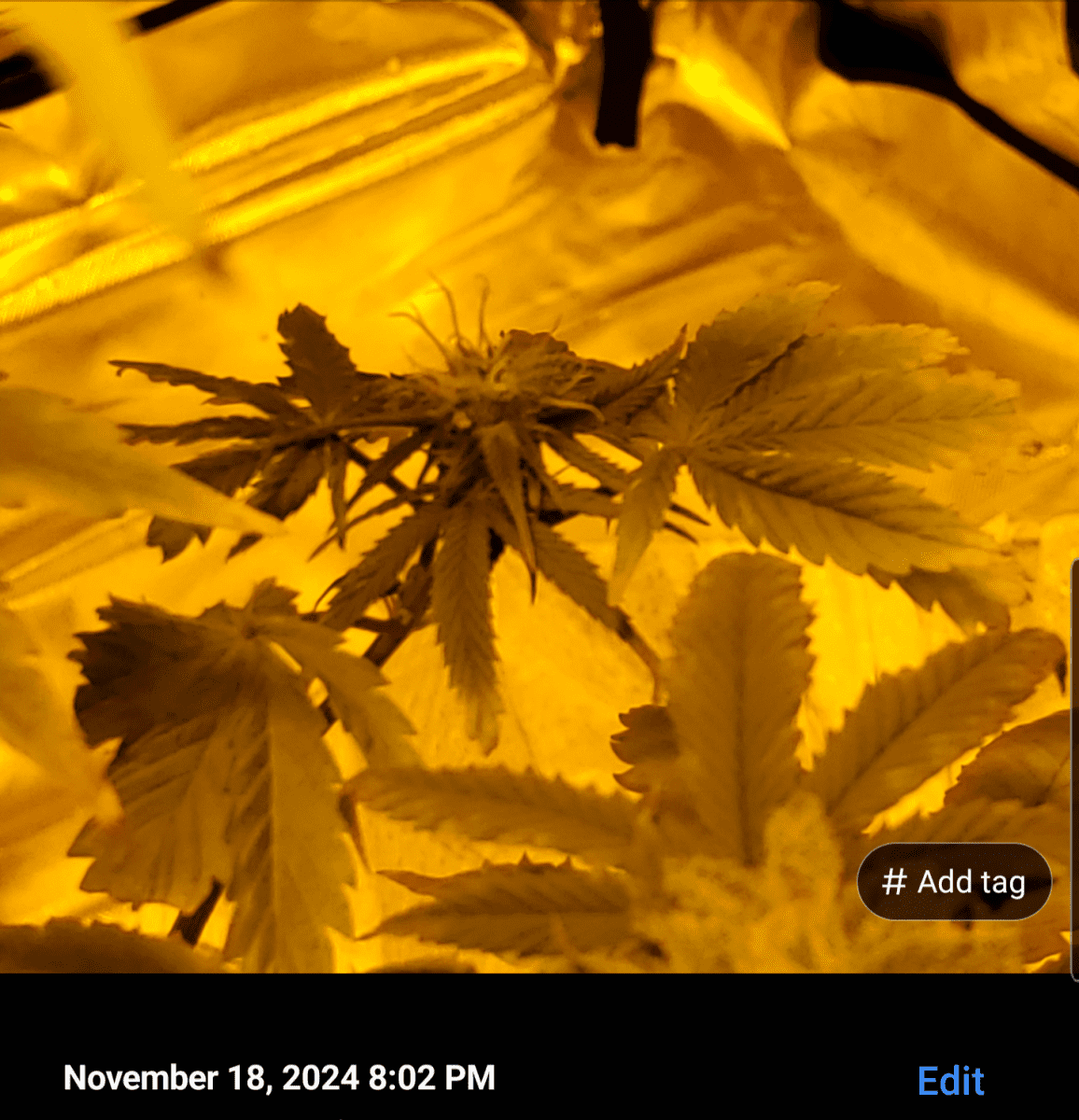 Screenshot 20241118 200931
