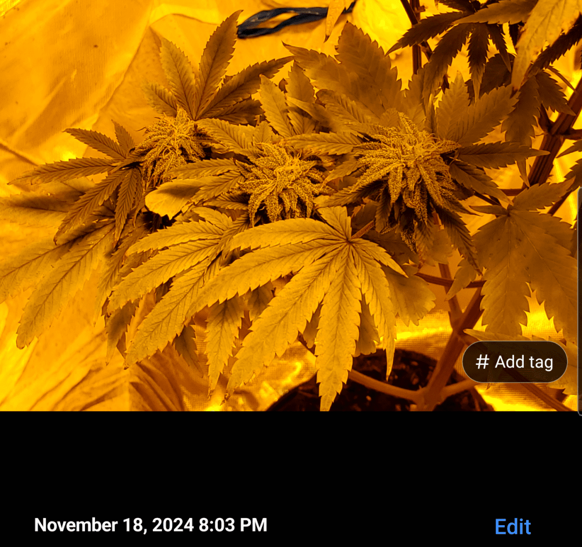 Screenshot 20241118 201038