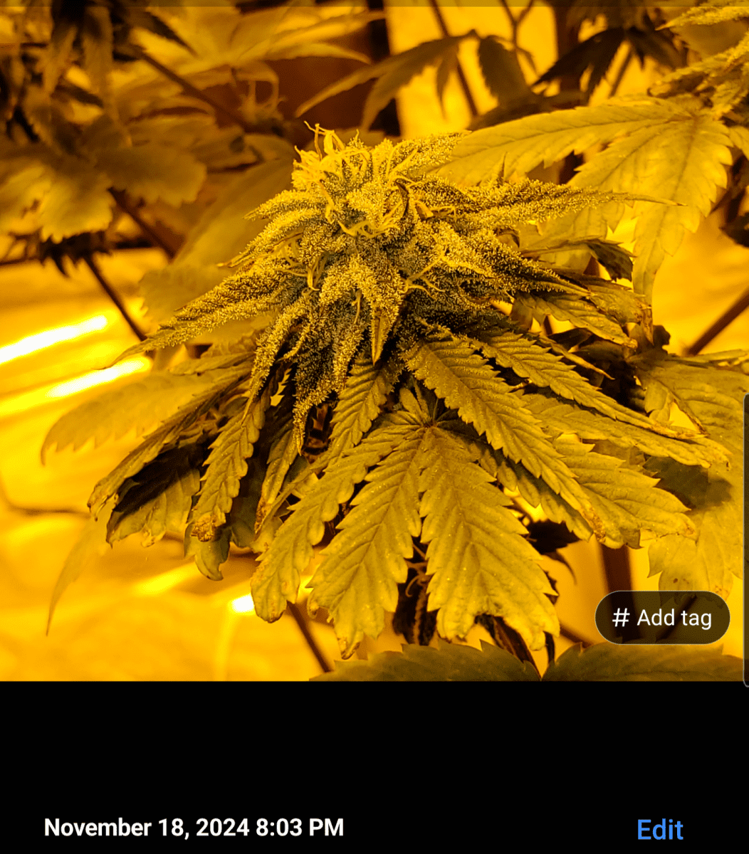 Screenshot 20241118 201051