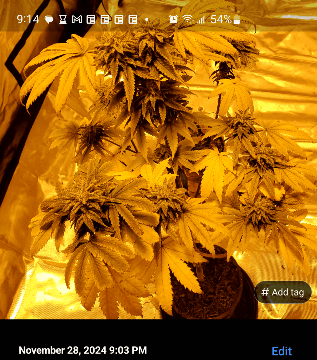 Screenshot 20241128 211449