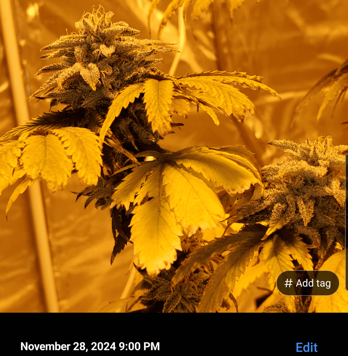 Screenshot 20241128 211626