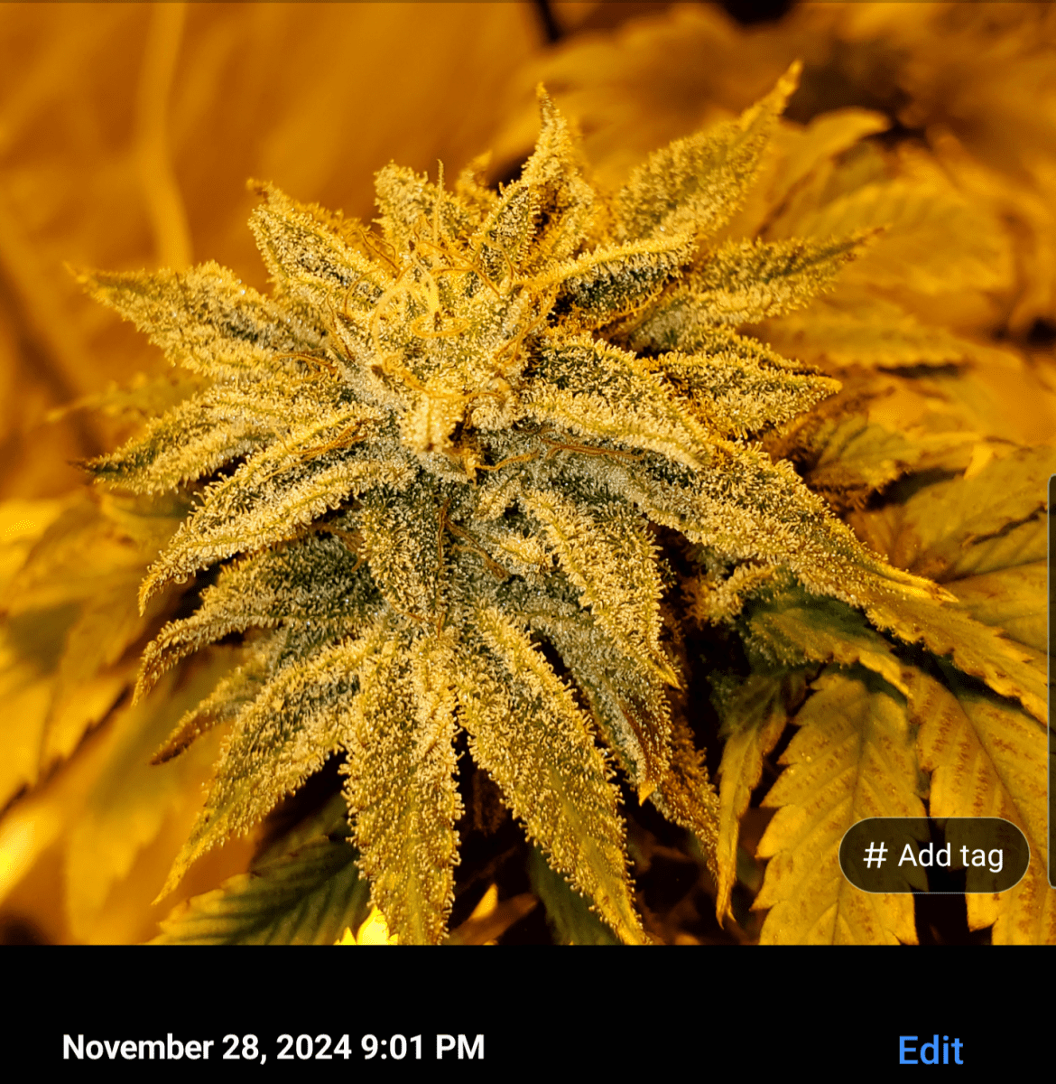 Screenshot 20241128 211805