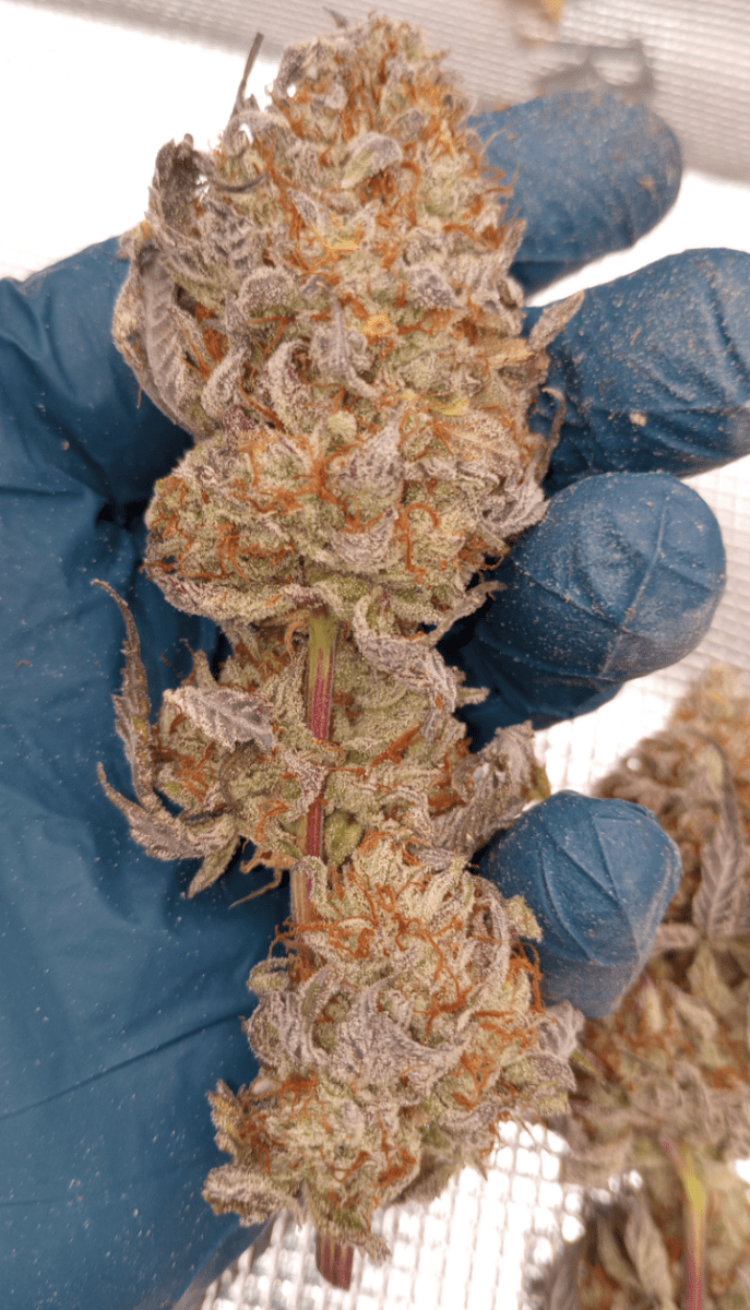 Screenshot 20241226 221104