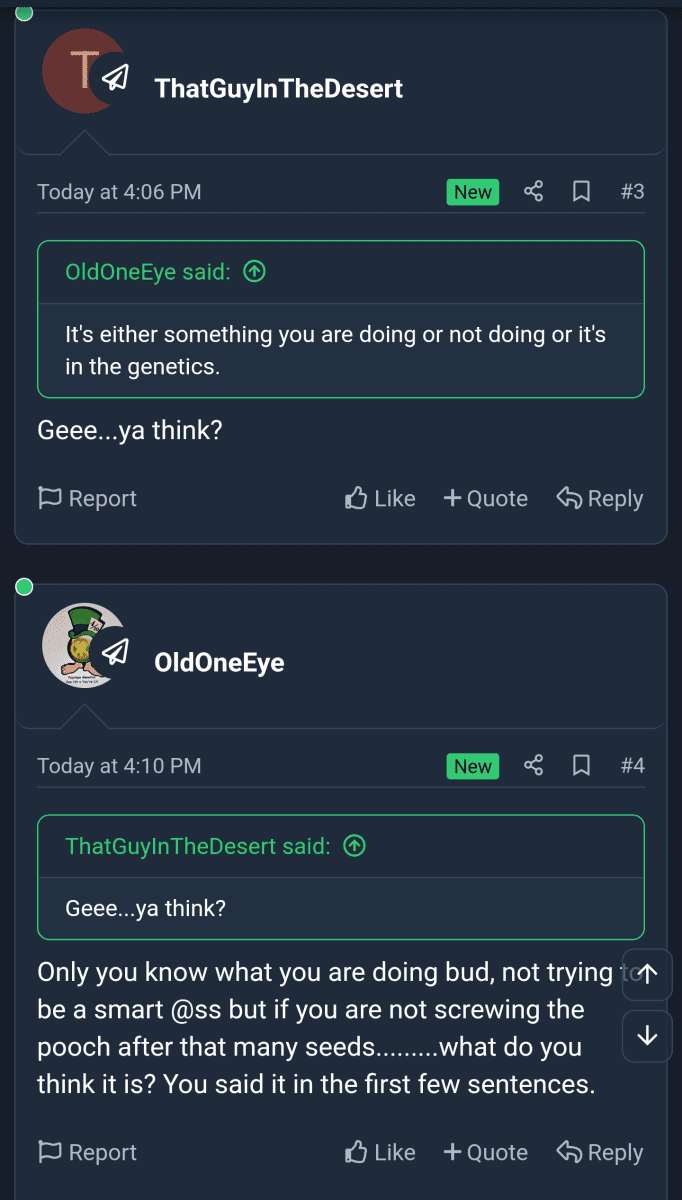 Screenshot 20250223 174645 Chrome
