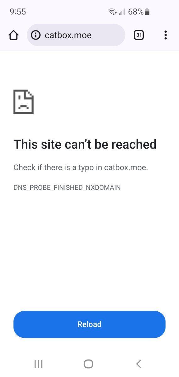 Screenshot 20250705 095513 Chrome