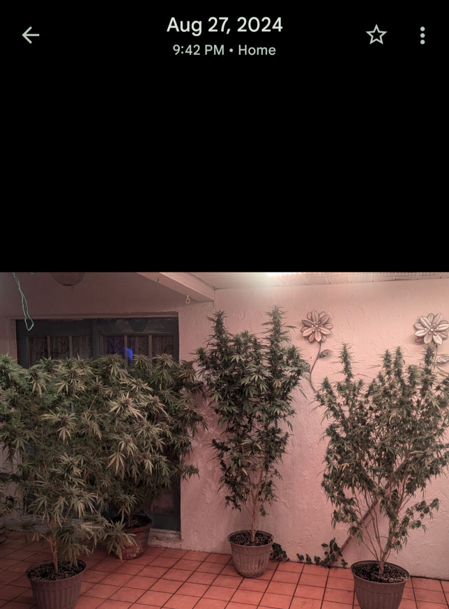 Screenshot 20250709 085453