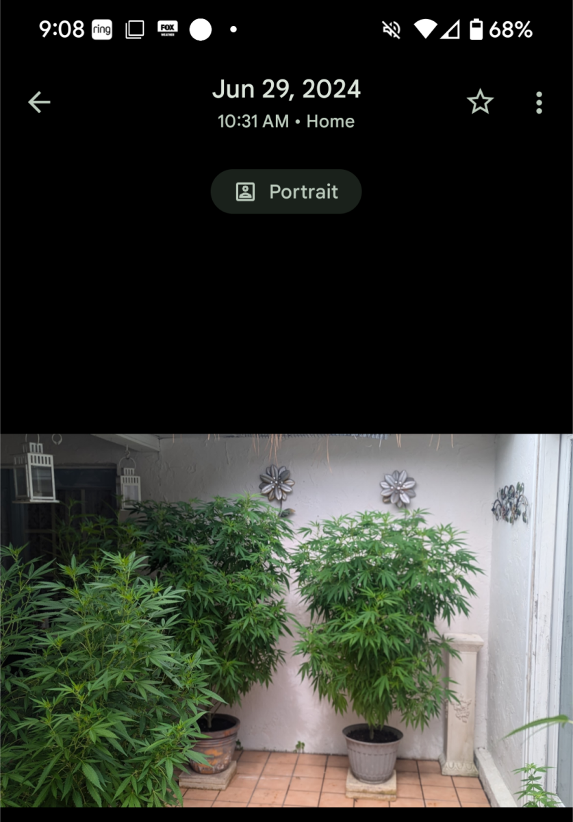 Screenshot 20250709 090848