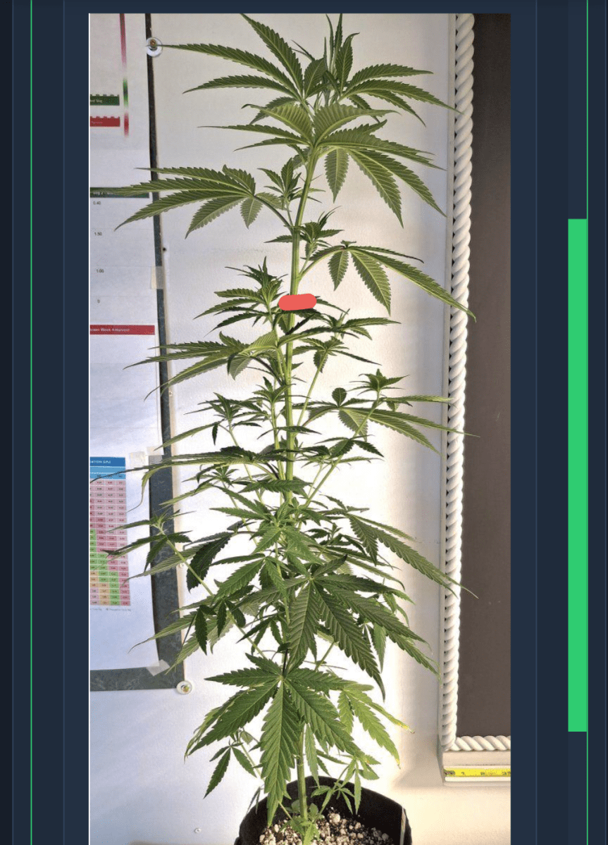 Screenshot 20260408 163254
