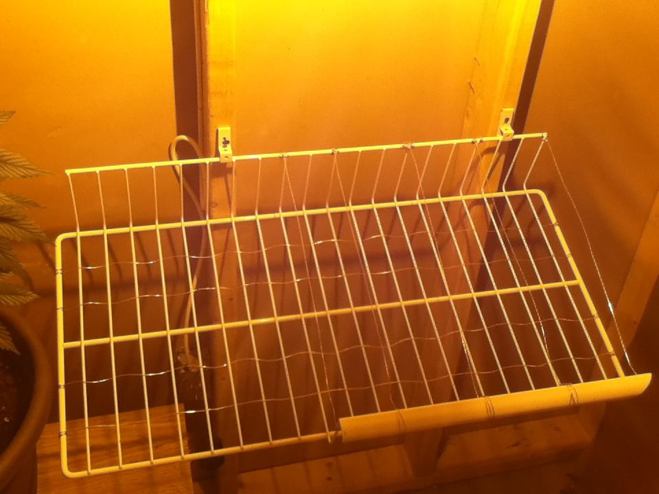 Scrog net