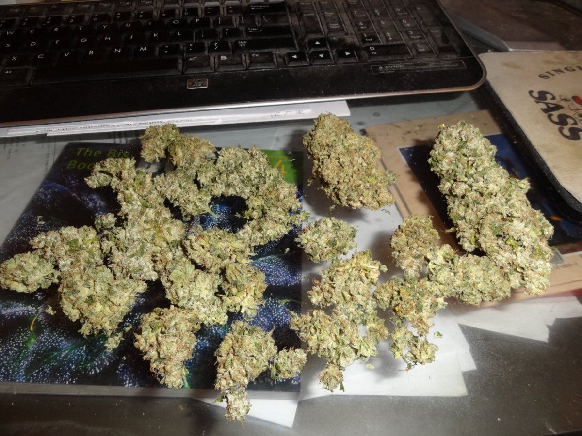 Scs sf og 001