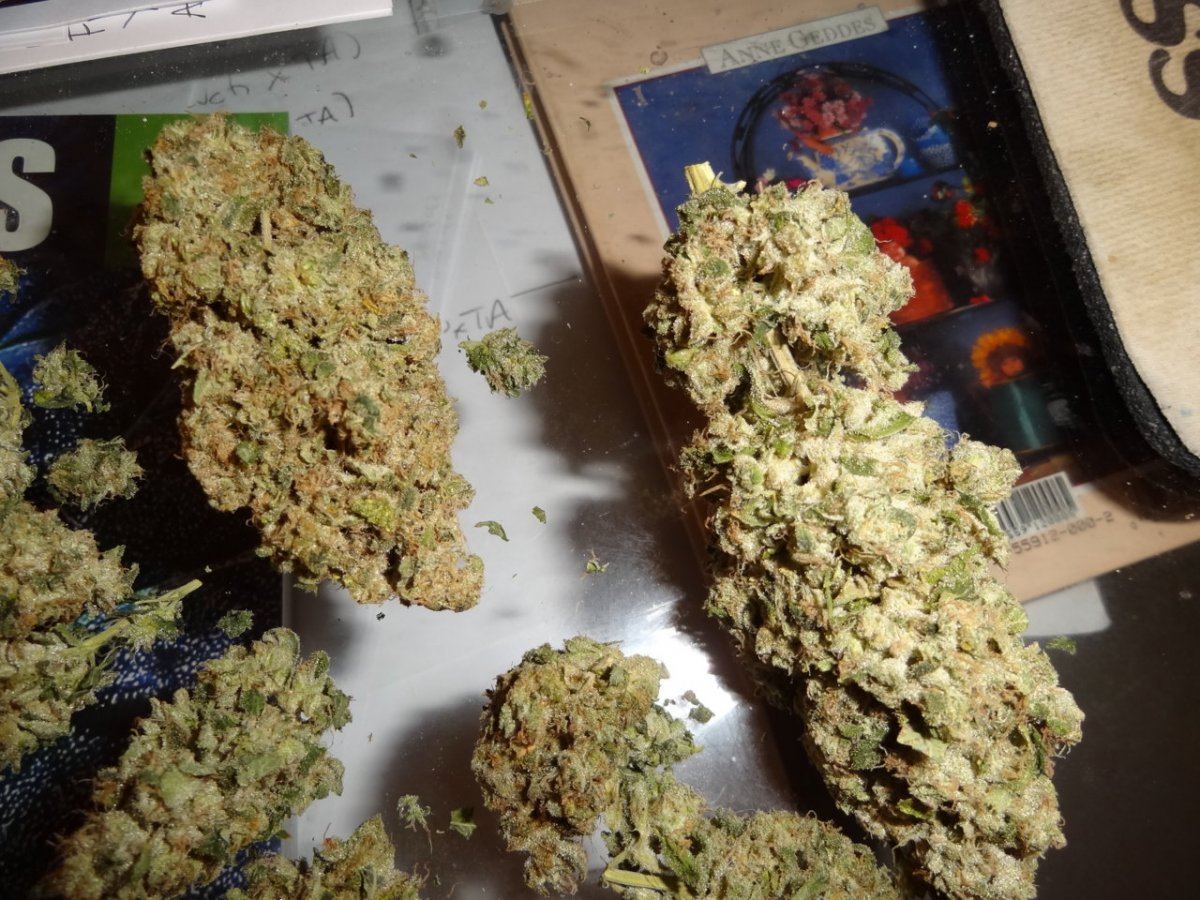 Scs sf og 006