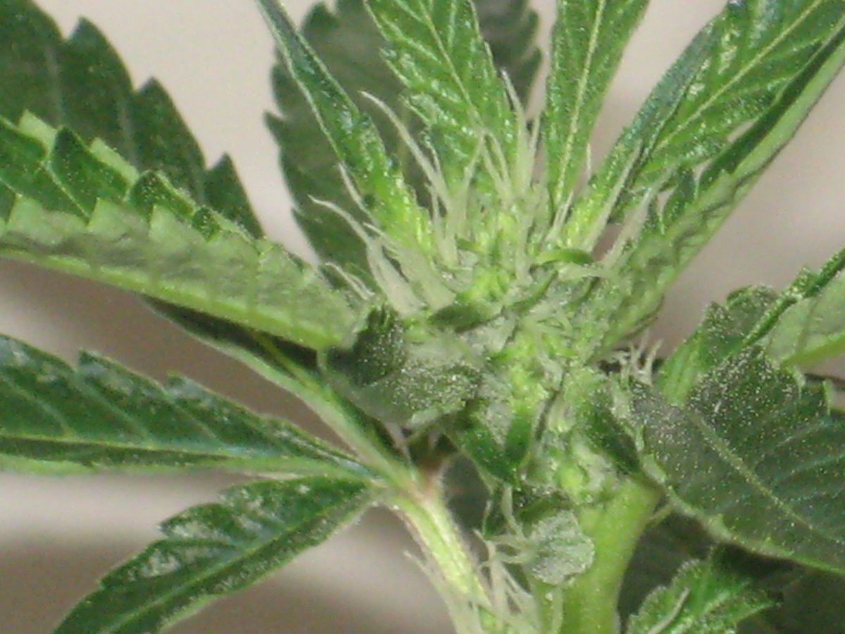 Sd9 day20f a