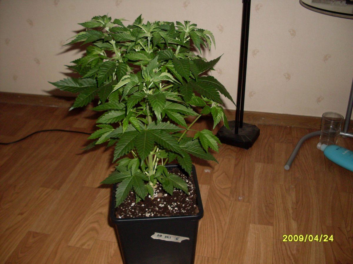 SDC11400