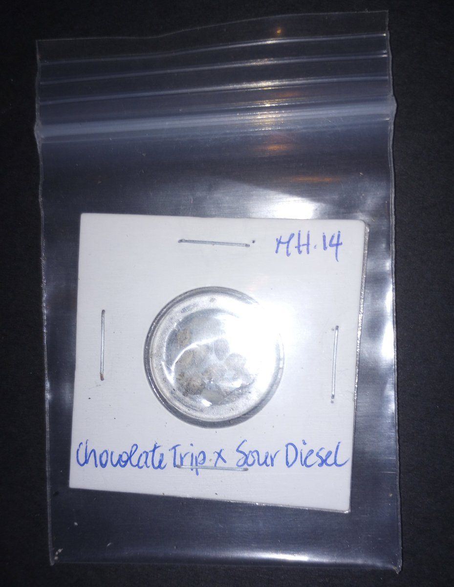 SDX002