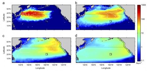 Sea Fukushima