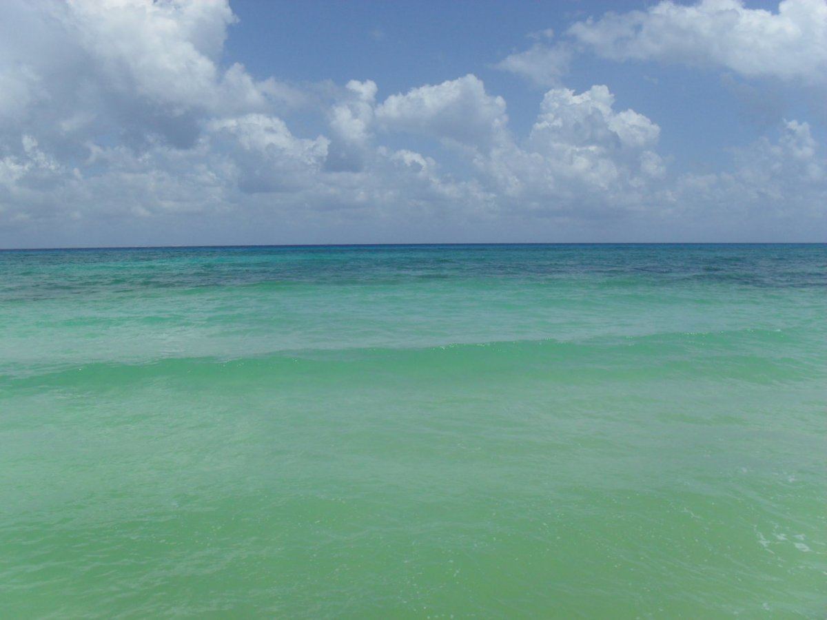 Sea