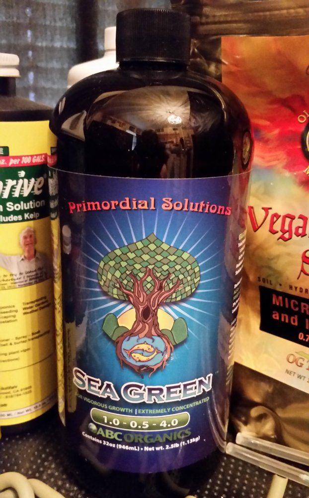 SeaGreen