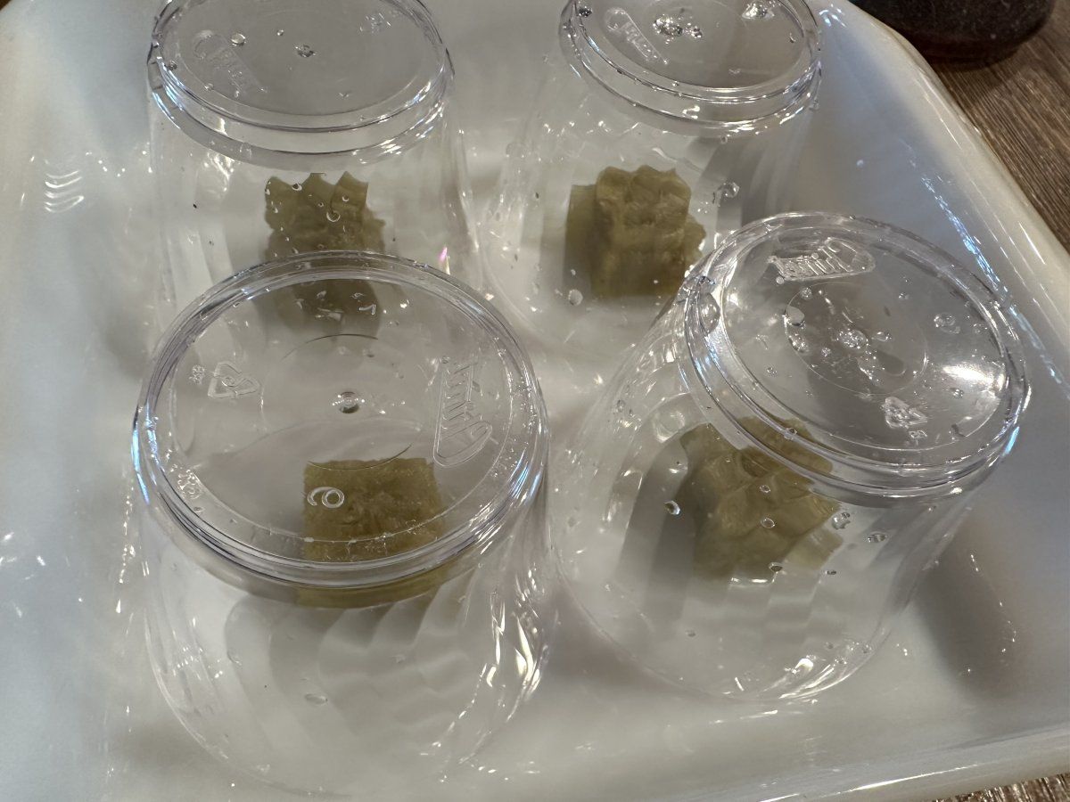 Second grow   blackberry moonrocks 3
