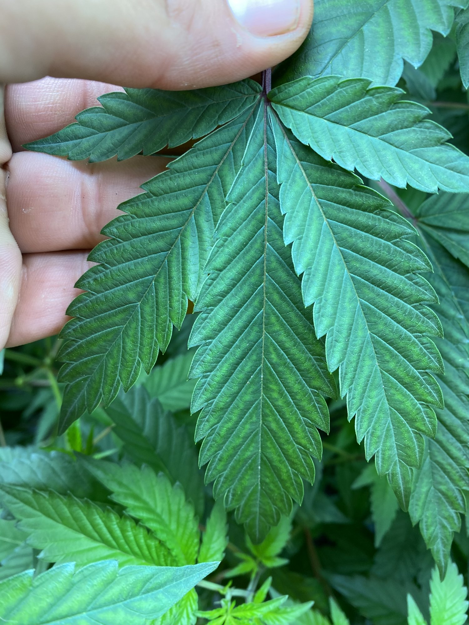 Second opinion on deficiency 2
