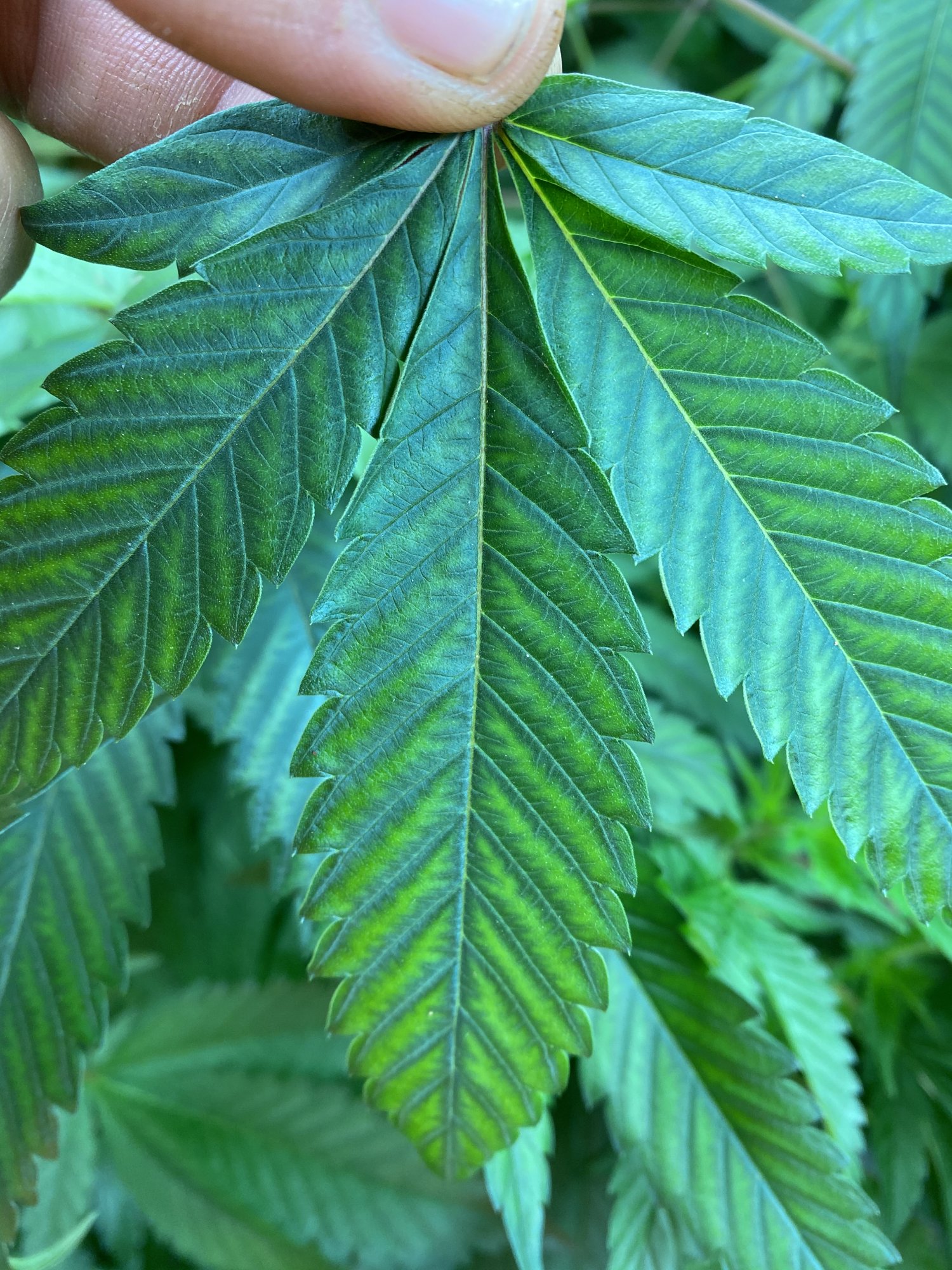 Second opinion on deficiency 4
