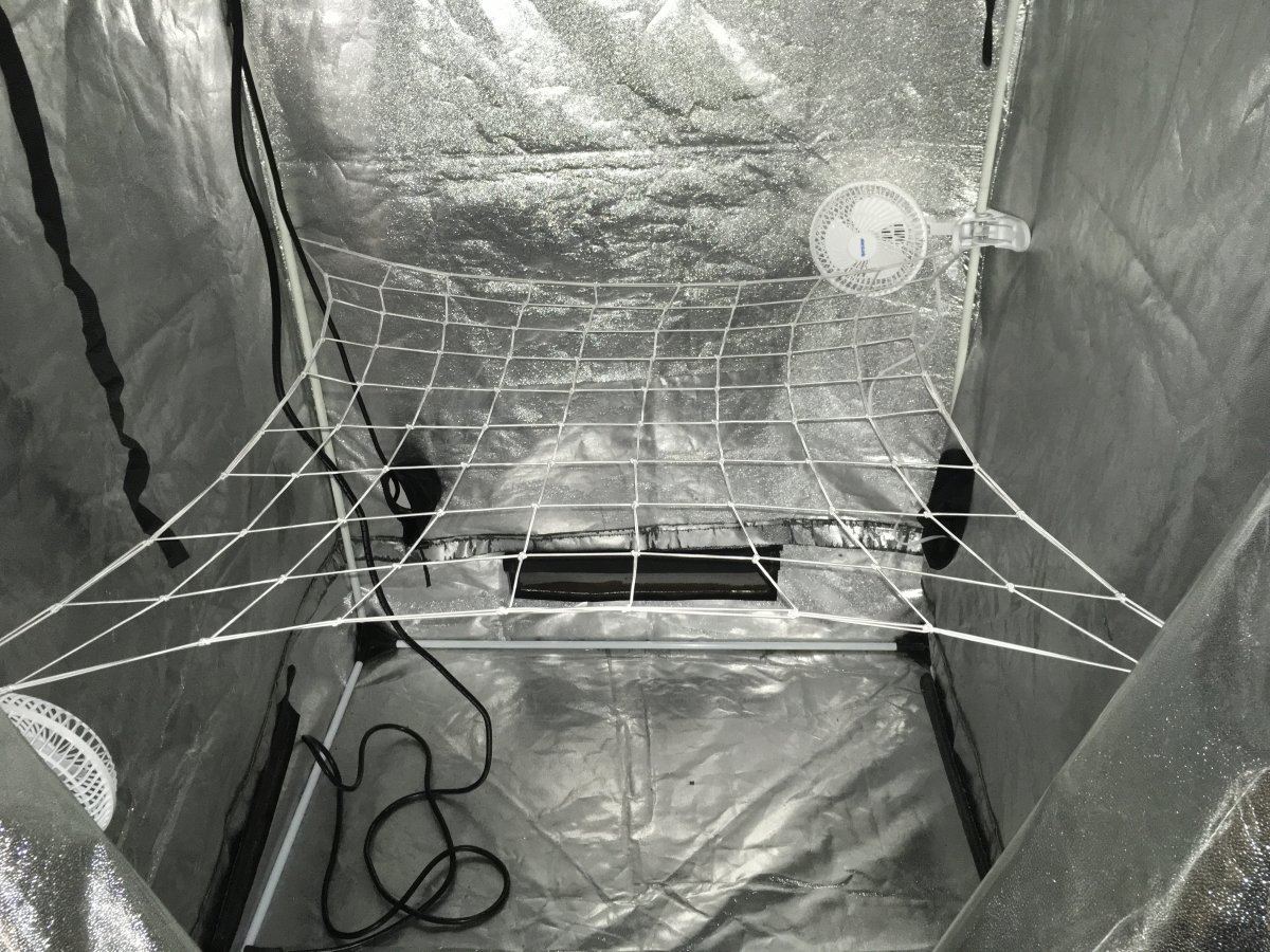 Secret Jardin webit120