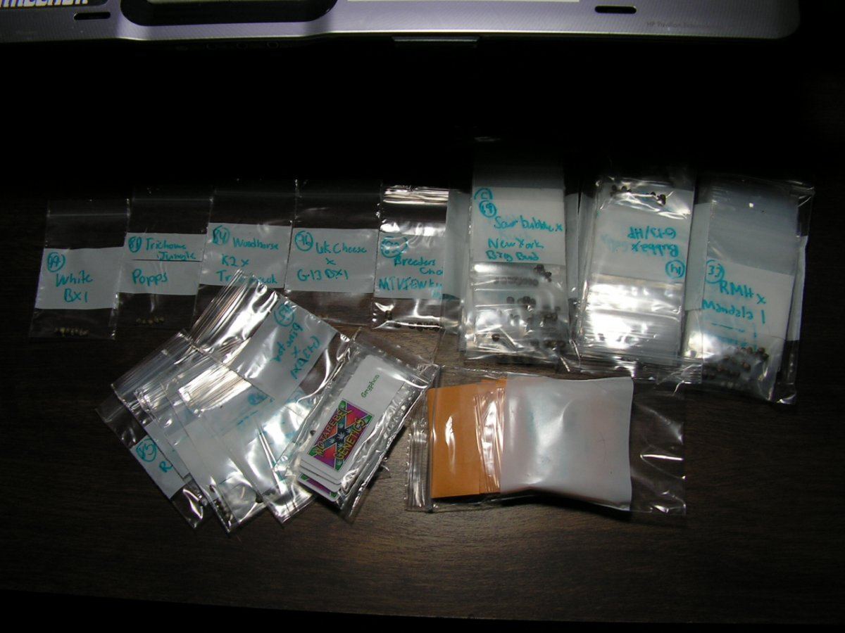 SEED PACKAGE 1