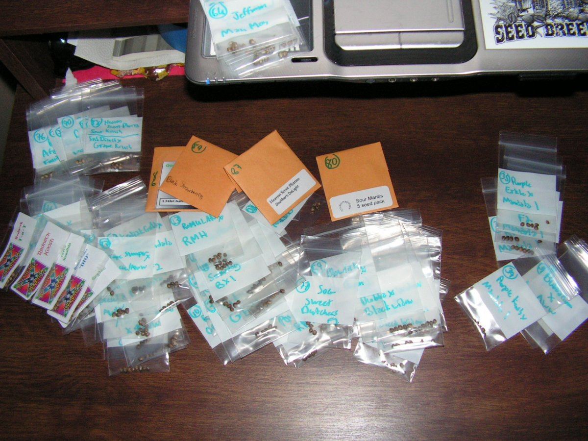 SEED PACKAGE 2