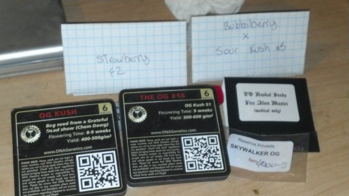 Seed packs