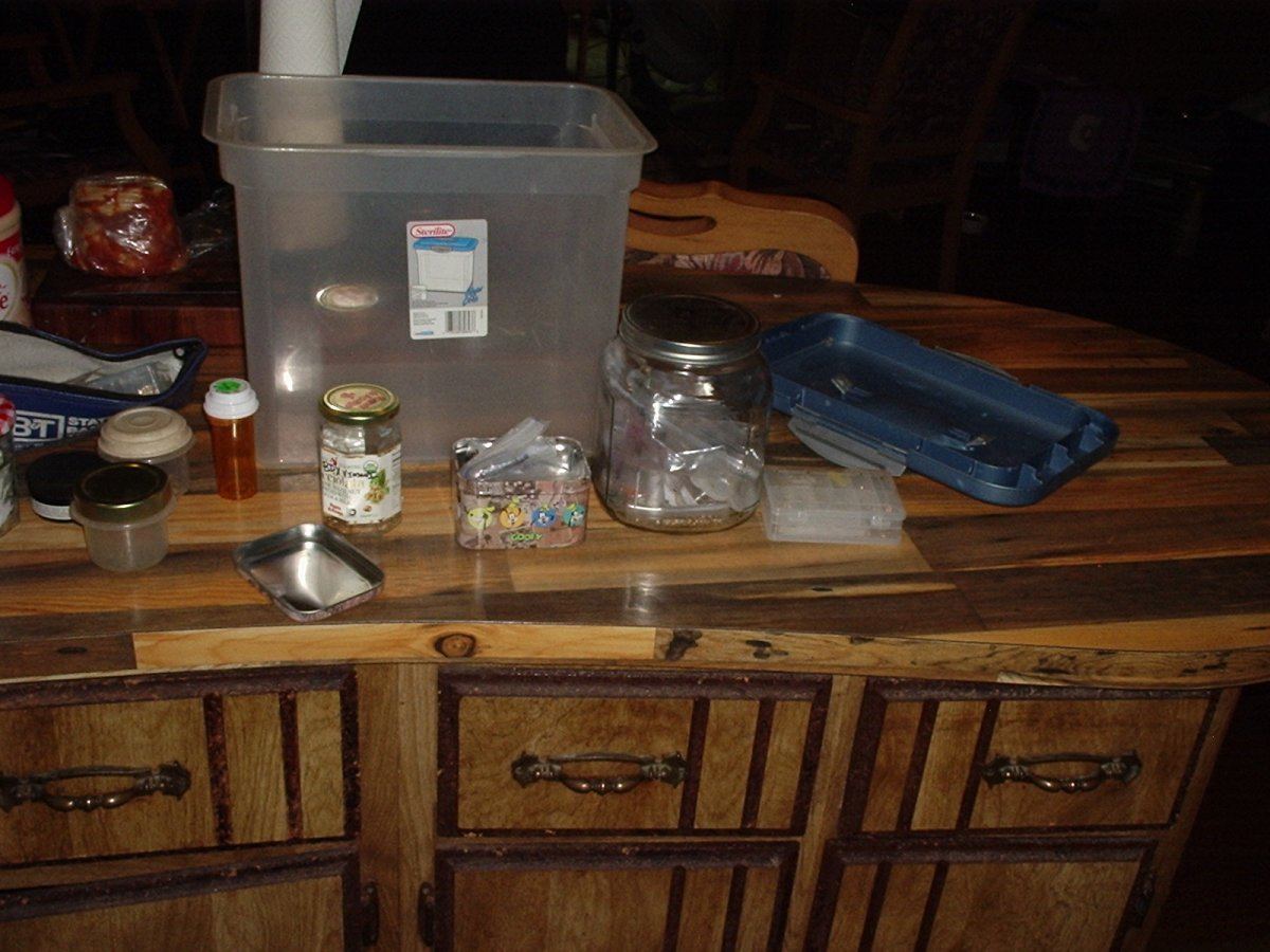 SeedBank 02A