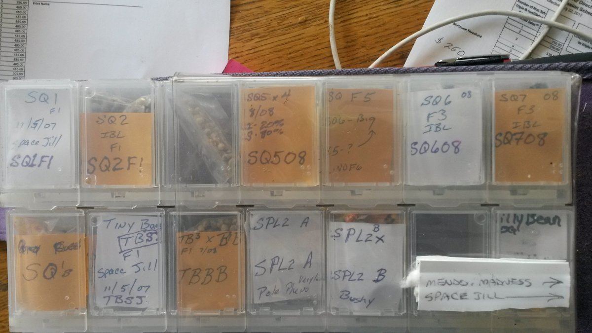 SeedBank