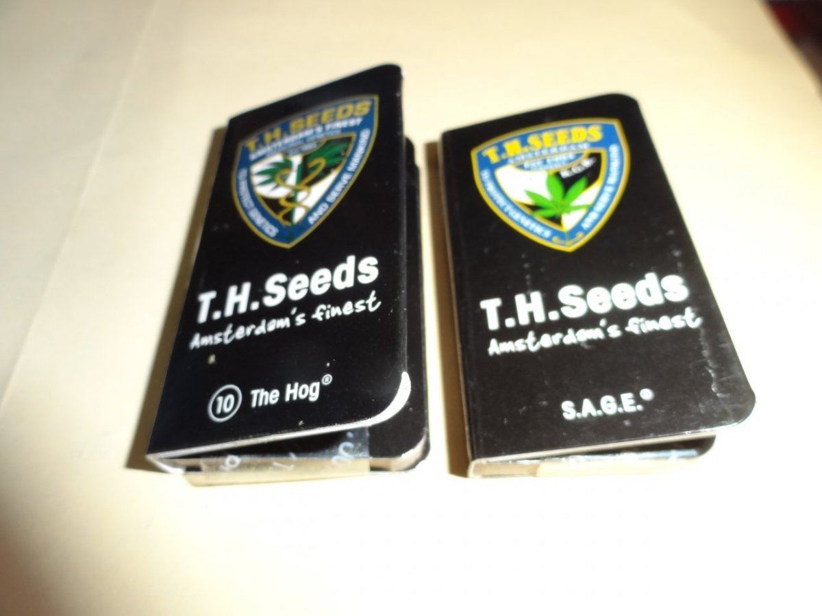 Seedes 002