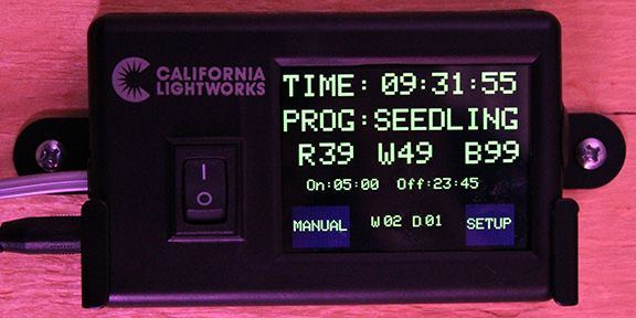 Seedling A