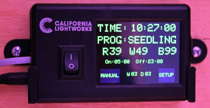 Seedling A Wk 3 Day 3
