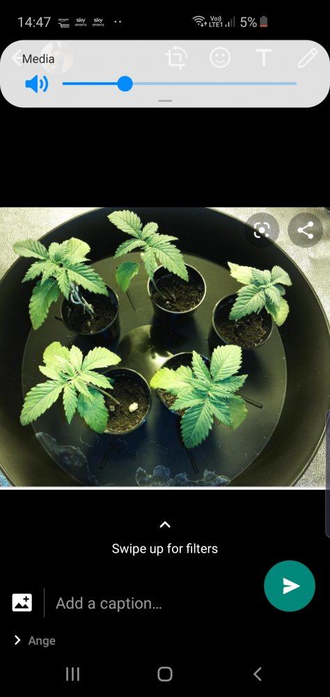 www.thcfarmer.com